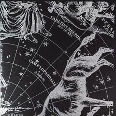 LP ploča Carlton Melton - Out Of Sea (White And Blue "Dark At Night" Coloured) (2 LP) - 2