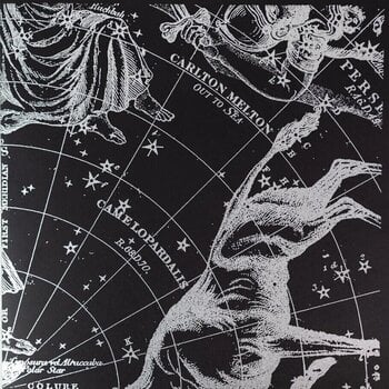 LP ploča Carlton Melton - Out Of Sea (White And Blue "Dark At Night" Coloured) (2 LP) - 3