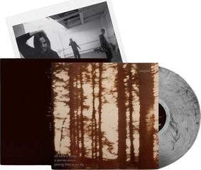 LP ploča Cindytalk - The Wind Is Strong... (Limited Edition) (Marble Smoke Coloured) (LP) - 1