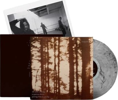 Disc de vinil Cindytalk - The Wind Is Strong... (Limited Edition) (Marble Smoke Coloured) (LP) - 2