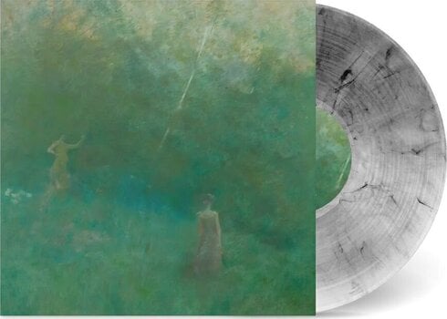 LP platňa Codeine - Dessau (Smoking Room Coloured) (LP) - 2