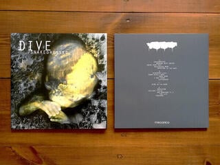 LP platňa Dive - Snakedressed (Reissue) (Yellow Coloured) (2 LP) - 1