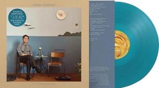 LP ploča Joshua Burnside - It's Not Going To Be Okay (Sea Blue Coloured) (LP) - 1