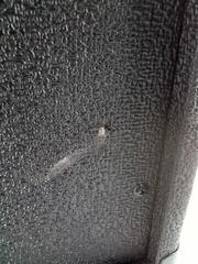 Combo Piccolo Basso Revoltage RV-20B Combo Piccolo Basso (Danneggiato) - 3