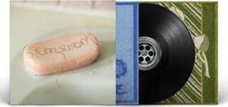 Disque vinyle Dry Cleaning - Stumpwork (Limited Edition) (Eco Black Coloured) (LP) - 1