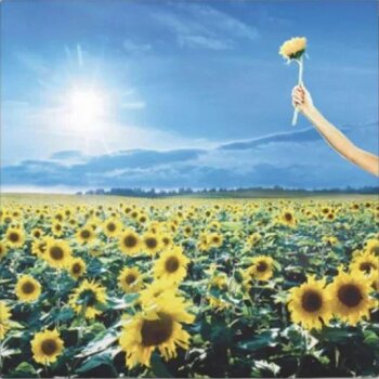 LP deska Stone Temple Pilots - Thank You (2 LP) - 4