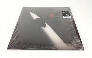 Schallplatte Post Malone - Twelve Carat Toothache (2 LP) (Nur ausgepackt) - 1