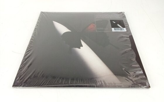 Disc de vinil Post Malone - Twelve Carat Toothache (2 LP) (Resigilat) - 2