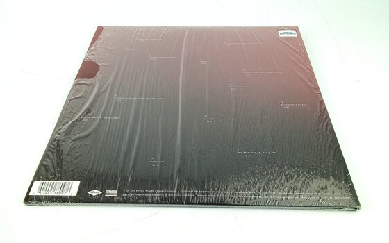 Disc de vinil Post Malone - Twelve Carat Toothache (2 LP) (Resigilat) - 4