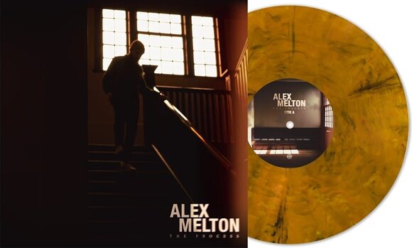 Disc de vinil Alex Melton - Process (Tigers Eye Marble Coloured) (LP) - 2