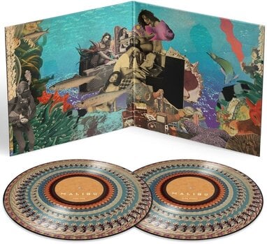LP ploča Anderson .Paak - Malibu (10th Anniversary/Limited Edition) (Zoetrope Picture Disc) (2 LP) - 2