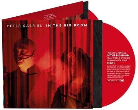Hudobné CD Peter Gabriel - In The Big Room (Live) (2 CD) - 2