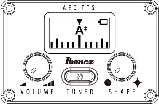 electro-acoustic guitar Ibanez AEG621-BOT Black Out electro-acoustic guitar - 12