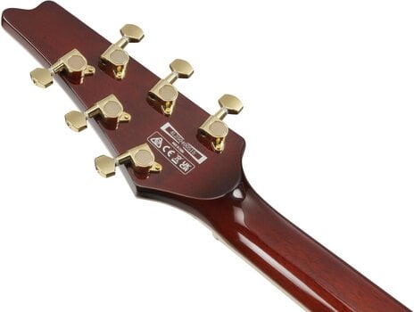 Električna gitara Ibanez IC420FM-TBG Transparent Blue Gradation Električna gitara - 9