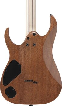 Elektrisk gitar Ibanez RGR5221R-TFR - 5