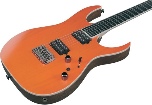 Elektrisk gitar Ibanez RGR5221R-TFR - 6