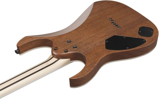 Elektrisk gitar Ibanez RGR5221R-TFR - 7