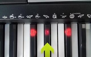 Teclado com resposta tátil Pianonova Iluminado 6 Teclado com resposta tátil (Danificado) - 2