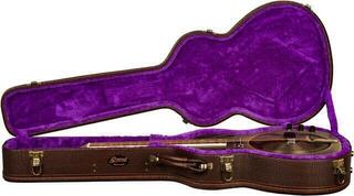 Case for Acoustic Guitar Ortega ORGCPRO Case for Acoustic Guitar - 2