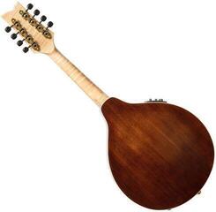 Mandolina Ortega RMAE200PF Purple Natural Fade Mandolina - 1