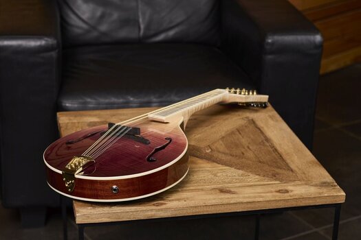 Mandolina Ortega RMAE200PF Purple Natural Fade Mandolina - 16