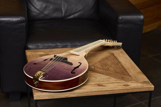 Mandolina Ortega RMA200PF Purple Natural Fade Mandolina - 16