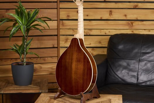 Mandolina Ortega RMA200PF Purple Natural Fade Mandolina - 17