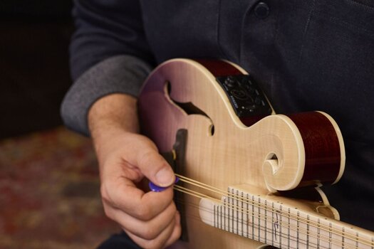 Mandolino Ortega RMFE200PF Purple Natural Fade Mandolino - 15