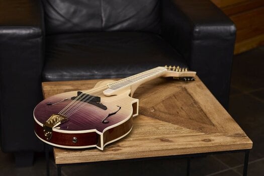 Mandolino Ortega RMFE200PF Purple Natural Fade Mandolino - 17