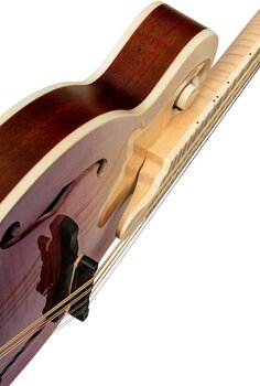 Mandolino Ortega RMF200PF Purple Natural Fade Mandolino - 10