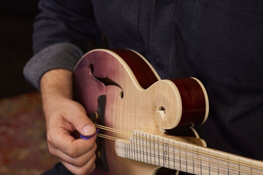 Mandolino Ortega RMF200PF Purple Natural Fade Mandolino - 15