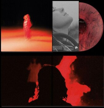 LP ploča Katherine Priddy - These Frightening Machines (Gatefold Sleeve) (Red/Black Smoke Coloured) (LP) - 2
