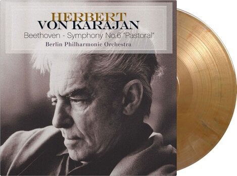 Disc de vinil Ludwig van Beethoven - Symphony No.6 Pastoral (Limited Edition) (Coloured) (180 g) (LP) - 2