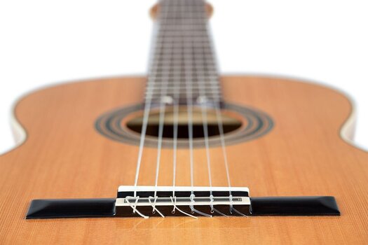 Classical guitar Ortega R20GSNRG 4/4 Natural Classical guitar - 12