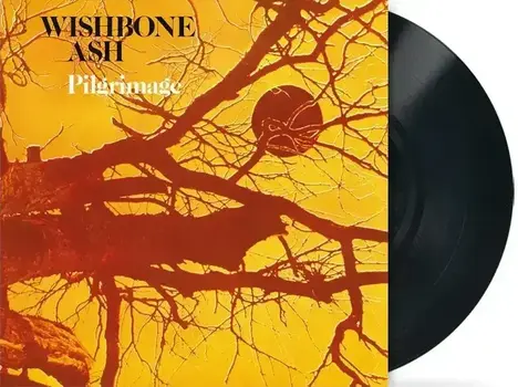 Disc de vinil Wishbone Ash - Pilgrimage (LP) - 2