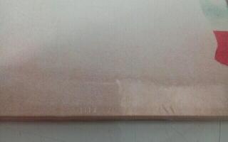 Schallplatte 5 Seconds Of Summer - 5Sos5 (Brick Red/ Rusty Red Opaque Coloured) (LP) (Nur ausgepackt) - 2