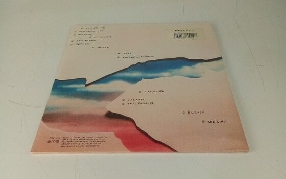 Schallplatte 5 Seconds Of Summer - 5Sos5 (Brick Red/ Rusty Red Opaque Coloured) (LP) (Nur ausgepackt) - 4