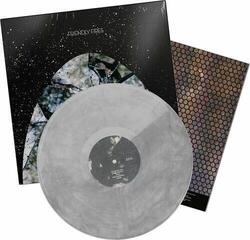 Disque vinyle Friendly Fires - Friendly Fires (Limited Edition) (Anniversary Edition) (Silver Coloured) (LP) - 2