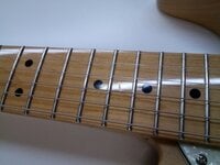 Fender Squier Classic Vibe '70s Telecaster Thinline Natural Electric guitar