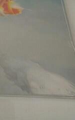 Schallplatte Busta Rhymes - Blockbusta (2 LP) (Nur ausgepackt) - 2