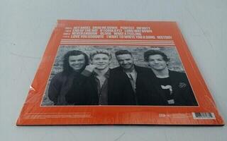 LP plošča One Direction - Made In The A.M. (2 LP) (Samo odprto) - 4