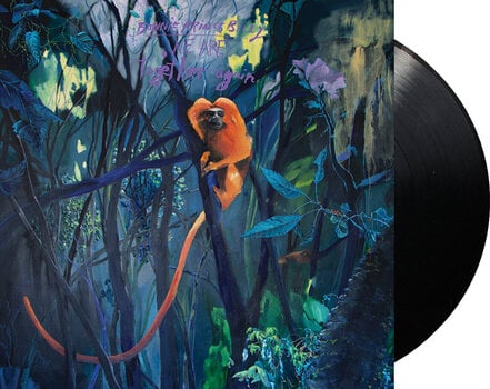 Disc de vinil Bonnie Prince Billy - We Are Together Again (2026) (LP) - 2