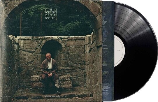 Disco de vinil Dermot Kennedy - The Weight Of The Woods (LP) - 2