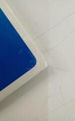 Schallplatte Kraftwerk - Autobahn (Limited Edition) (Picture Coloured) (LP) (Nur ausgepackt) - 4