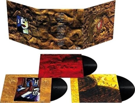 Disco de vinil dEUS - Worst Case Scenario (30th Anniversary Edition) (3 LP) - 2