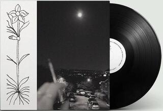 Płyta winylowa Jabu - A Soft & Gatherable Star (LP) - 1