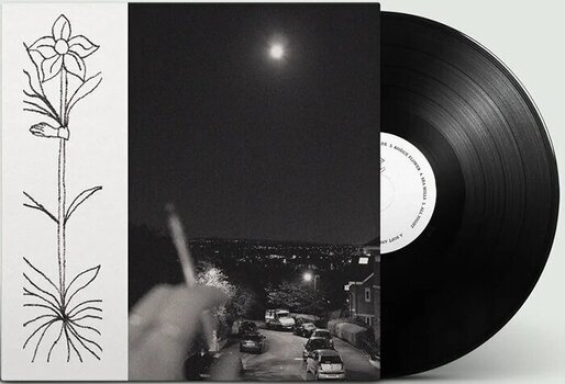 Płyta winylowa Jabu - A Soft & Gatherable Star (LP) - 2