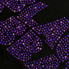 Πουκάμισο Black Sabbath Wavy Logo Embellished Black L Πουκάμισο - 1