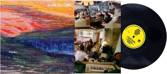 LP ploča Black Sea Dahu - Everything (LP) - 2