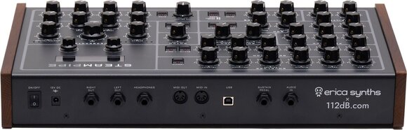 Syntetisaattori Erica Synths Steampipe Syntetisaattori - 2